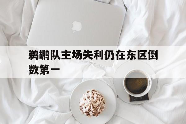包含鹈鹕队主场失利仍在东区倒数第一的词条